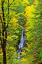 Dickson Falls ~ Fundy National Park