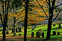 Loyalist Burial Grounds, Saint John