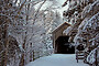 Along the MooseHorn