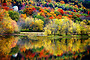 Autumn Bliss